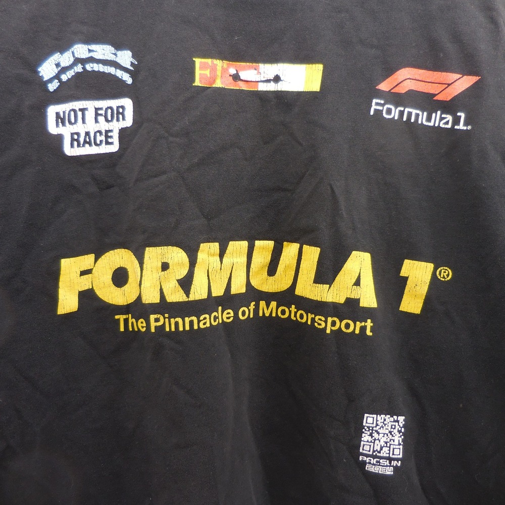 PacSun Formula 1 F1 Racing Graphic T-Shirt Black Mens Medium Pinnacle Motorsport